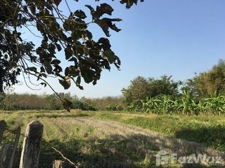 For sale land in Wiang Chiang Rung, Chiang Rai