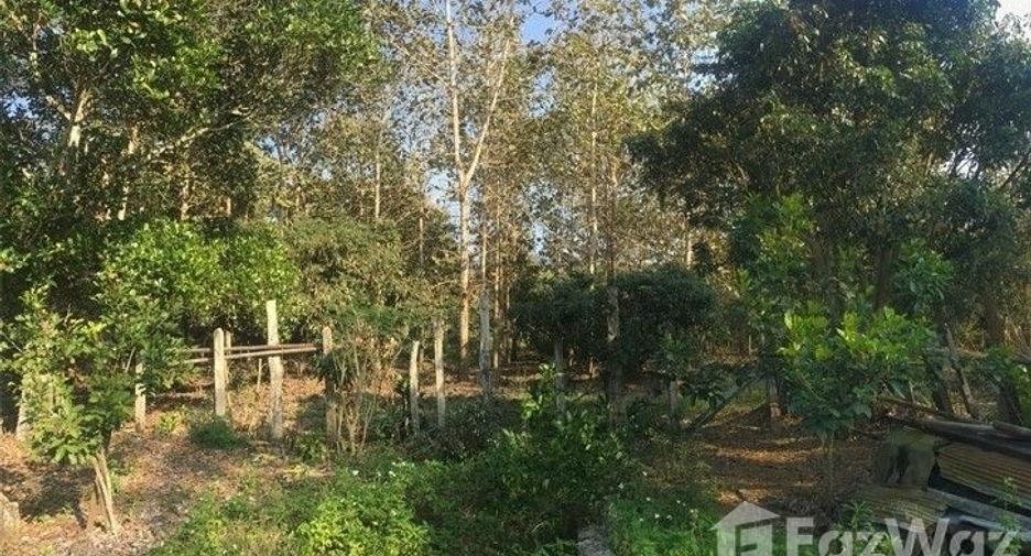 For sale land in Wiang Chiang Rung, Chiang Rai