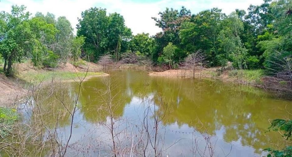 For sale land in Noen Kham, Chainat