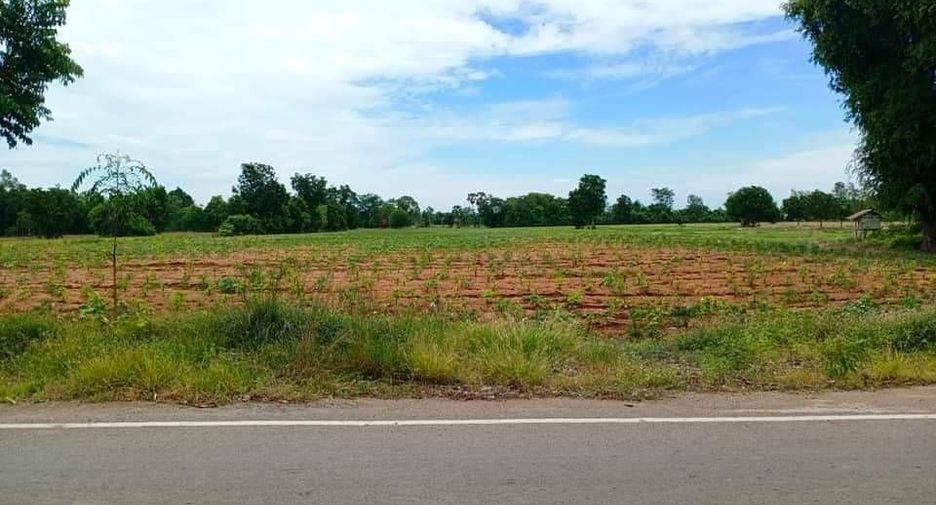 For sale land in Noen Kham, Chainat