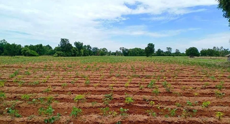 For sale land in Noen Kham, Chainat