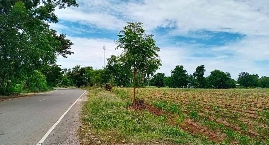 For sale land in Noen Kham, Chainat