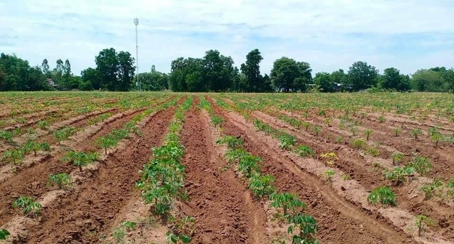 For sale land in Noen Kham, Chainat