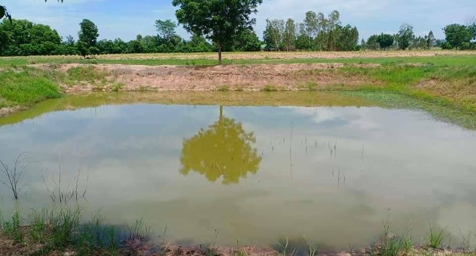 For sale land in Noen Kham, Chainat