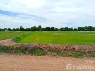 For sale land in Noen Kham, Chainat