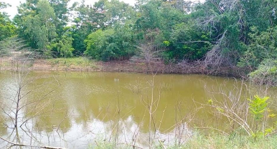 For sale land in Noen Kham, Chainat