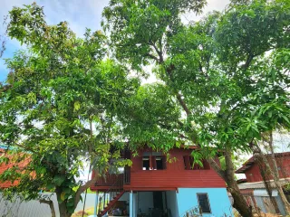 For sale 1 bed house in Mueang Ratchaburi, Ratchaburi