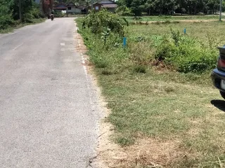 For sale land in Singhanakhon, Songkhla