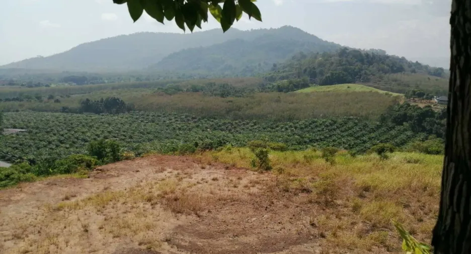 Grundstück zum Kauf in Thalang, Phuket