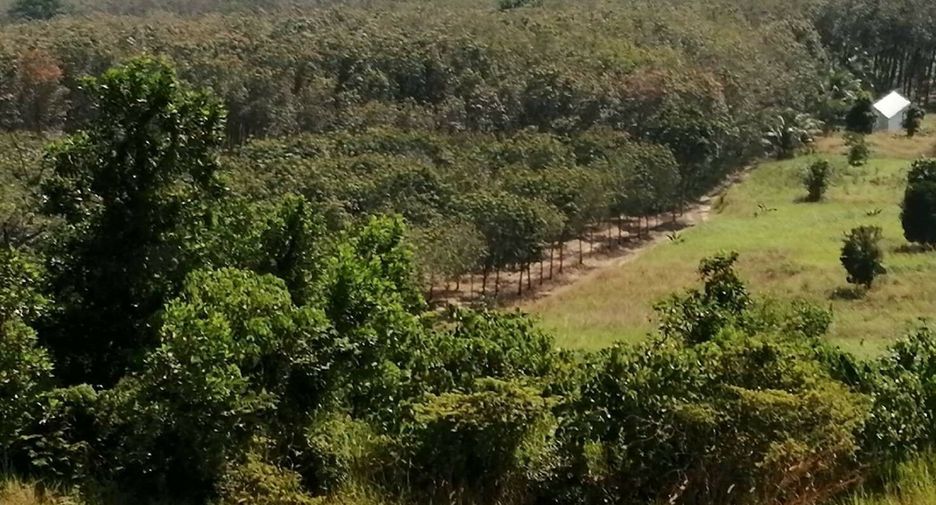Grundstück zum Kauf in Thalang, Phuket