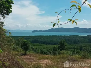 Grundstück zum Kauf in Thalang, Phuket