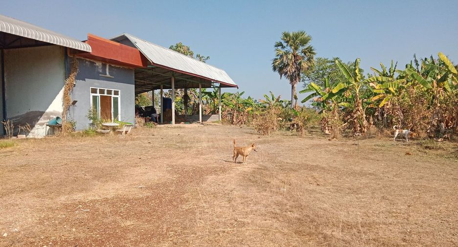 For sale 2 bedrooms house in Ban Khwao, Chaiyaphum