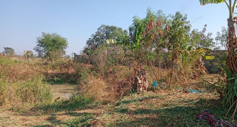 For sale 2 bedrooms house in Ban Khwao, Chaiyaphum