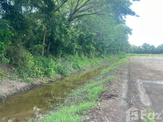 ขาย ที่ดิน ใน บ้านนา, นครนายก