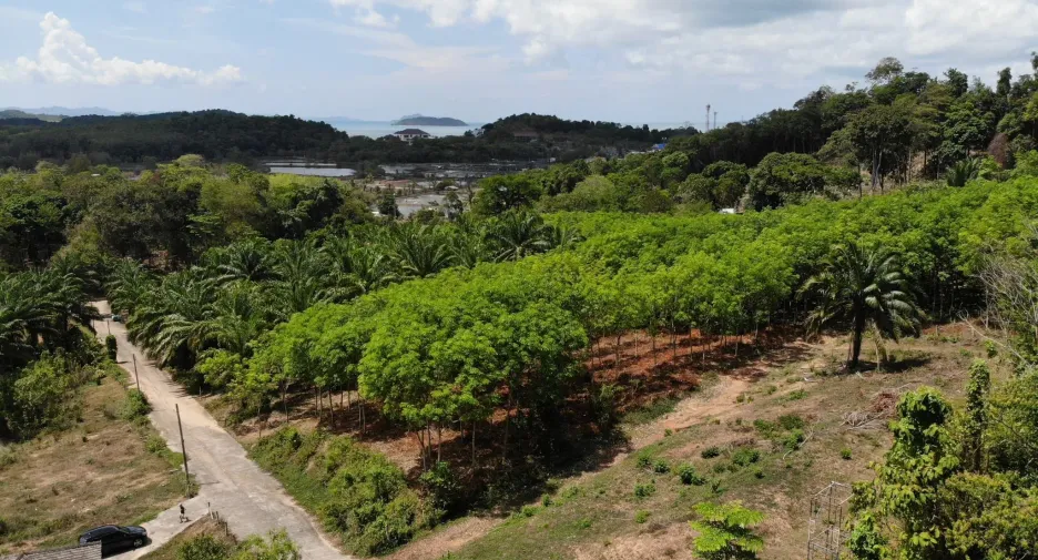 Grundstück zum Kauf in Thalang, Phuket