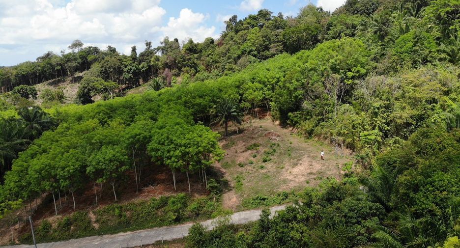 Grundstück zum Kauf in Thalang, Phuket