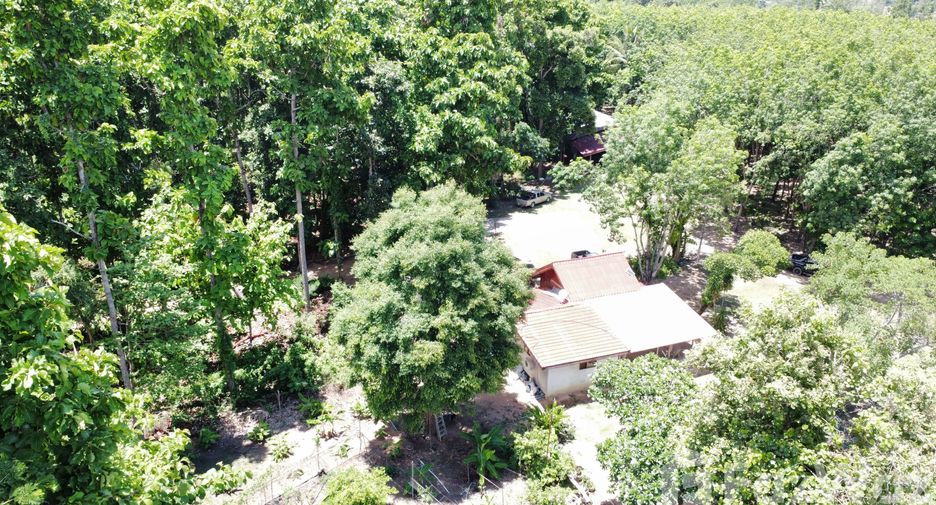 For sale land in Mueang Mukdahan, Mukdahan