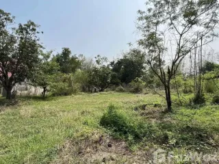 For sale land in Chanuman, Amnat Charoen