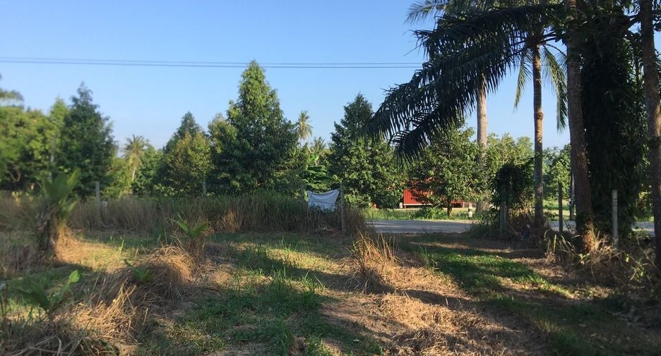 For sale land in Mueang Chumphon, Chumphon