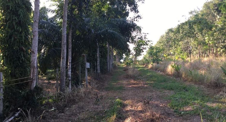 For sale land in Mueang Chumphon, Chumphon
