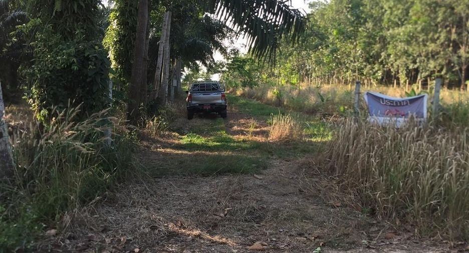 For sale land in Mueang Chumphon, Chumphon