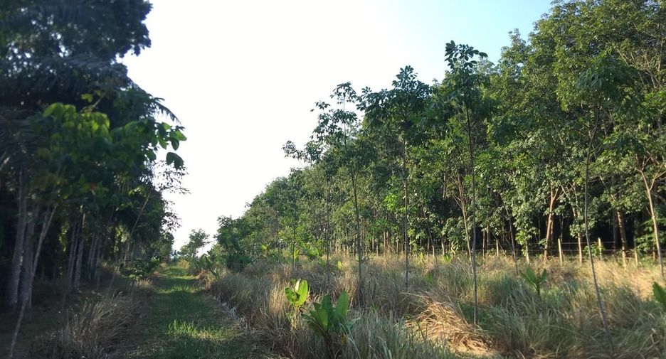 For sale land in Mueang Chumphon, Chumphon