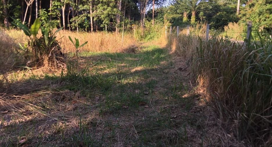 For sale land in Mueang Chumphon, Chumphon
