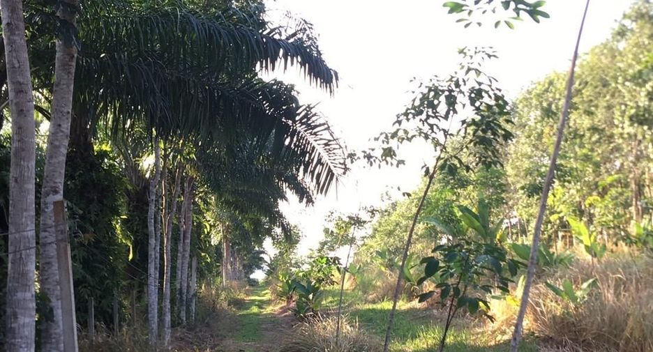 For sale land in Mueang Chumphon, Chumphon