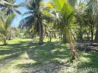 出售 土地 在 Phuket Town, 普吉