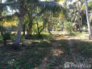 出售 土地 在 Phuket Town, 普吉