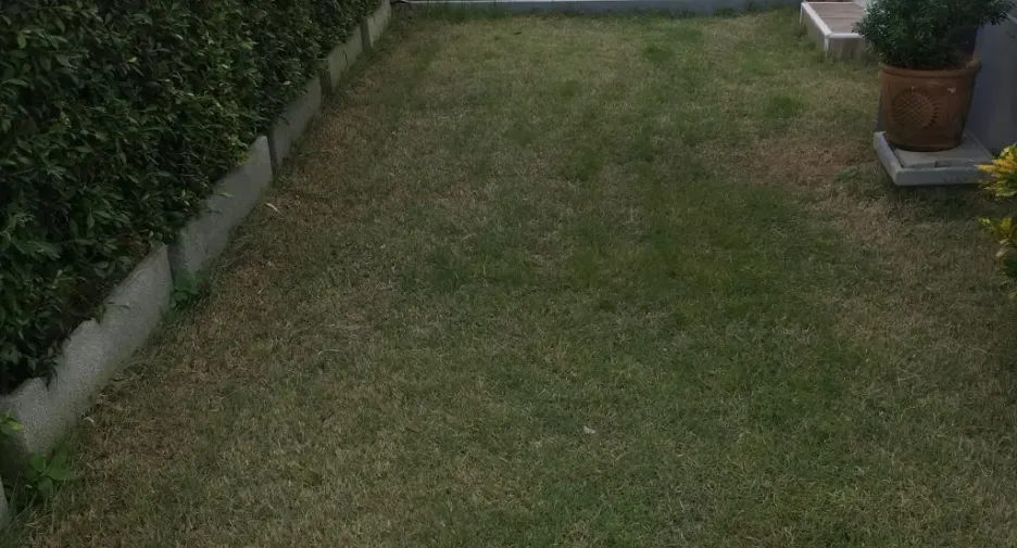 For sale 3 ベッドルーム townhouse in Phra Nakhon Si Ayutthaya, Phra Nakhon Si Ayutthaya