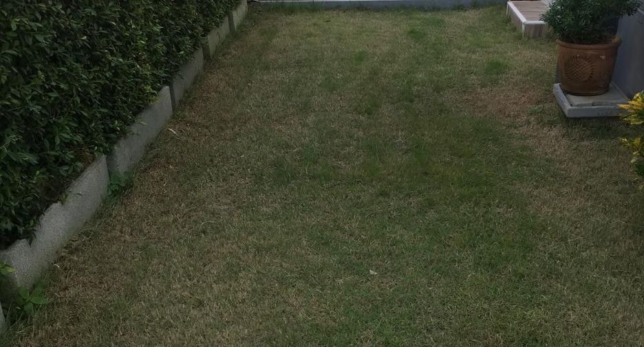 For sale 3 ベッドルーム townhouse in Phra Nakhon Si Ayutthaya, Phra Nakhon Si Ayutthaya