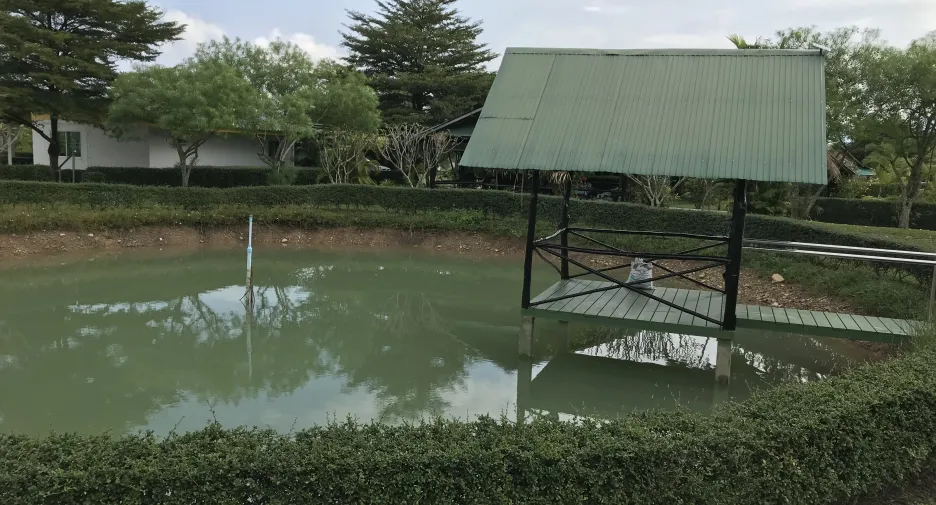 Hotel zum Kauf mit 12 Zimmer in Chiang Dao, Chiang Mai