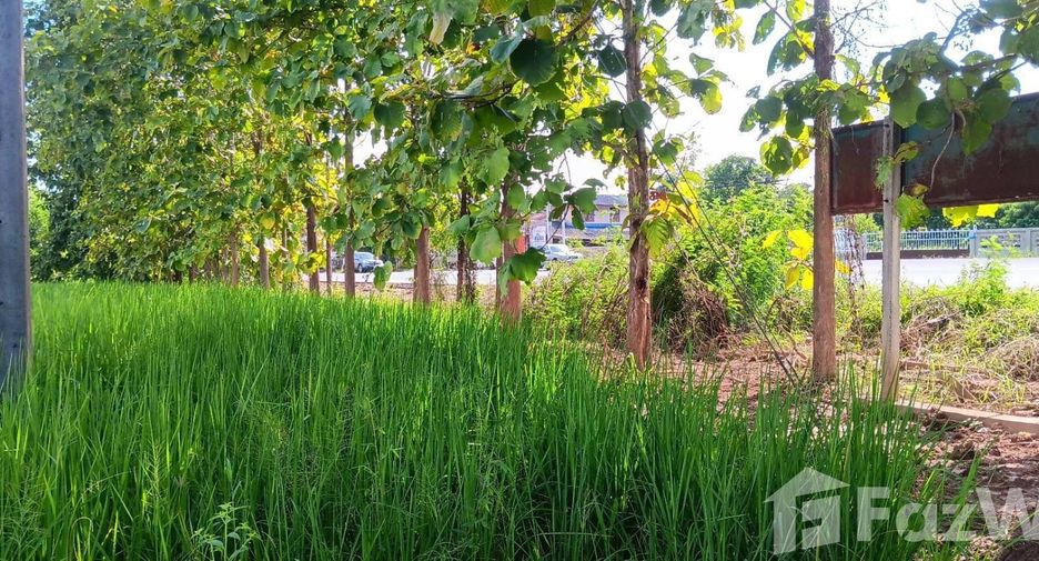 For sale land in Phu Kamyao, Phayao