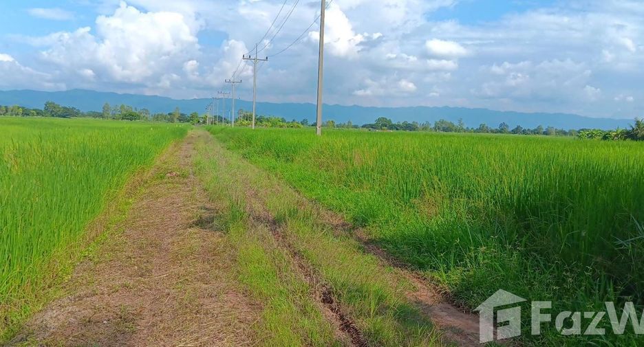 For sale land in Phu Kamyao, Phayao