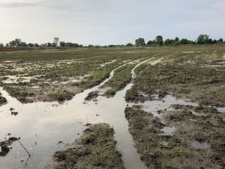 À vendre terrain à Mueang Prachinburi, Prachin Buri