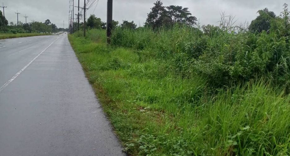 For sale land in Loeng Nok Tha, Yasothon