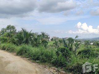 出售 土地 在 塔朗, 普吉