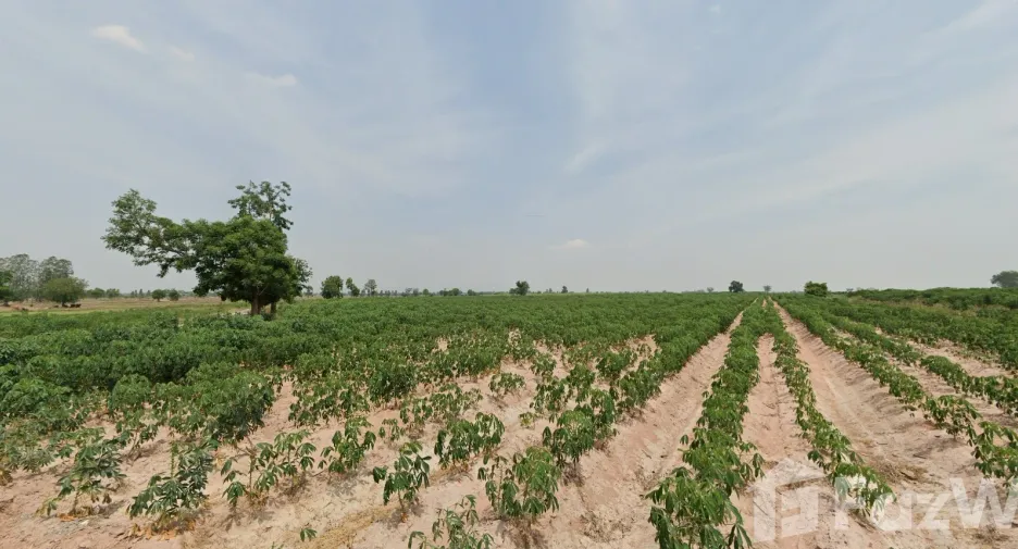 For sale land in Huai Krachao, Kanchanaburi