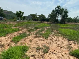 For sale land in Phatthana Nikhom, Lopburi