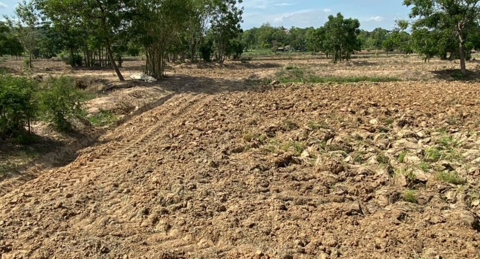 For sale land in Phatthana Nikhom, Lopburi