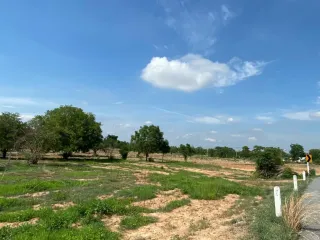 For sale land in Phatthana Nikhom, Lopburi