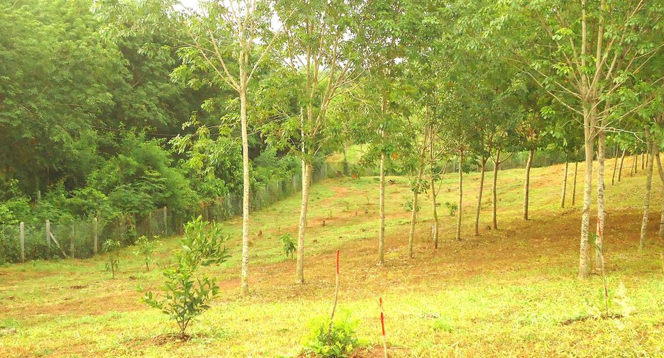For sale land in Mueang Loei, Loei