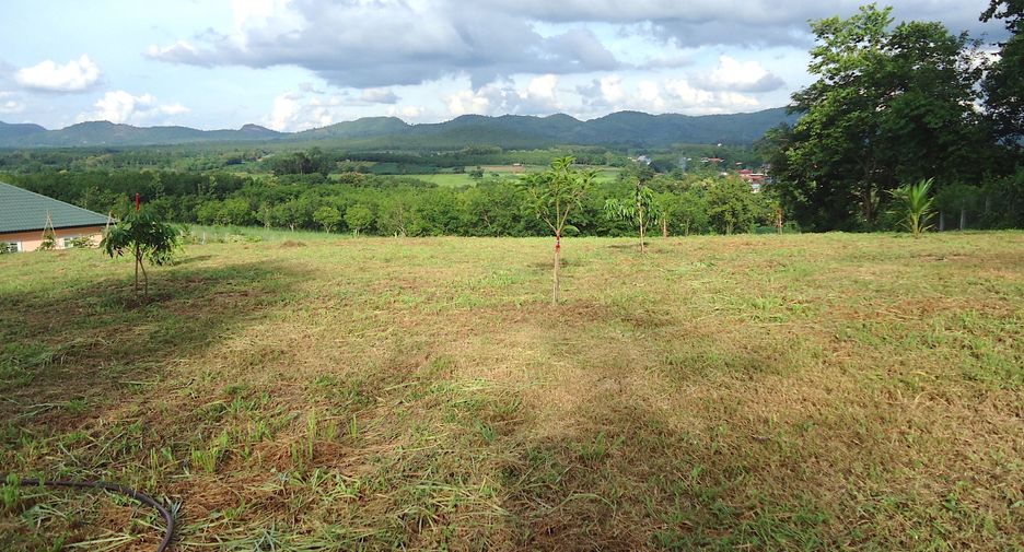 For sale land in Mueang Loei, Loei