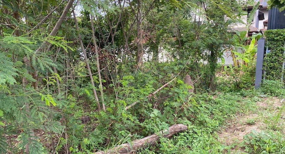 Grundstück zum Kauf in Pak Kret, Nonthaburi