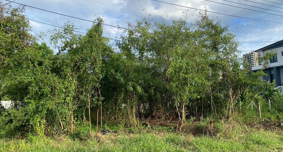Grundstück zum Kauf in Pak Kret, Nonthaburi