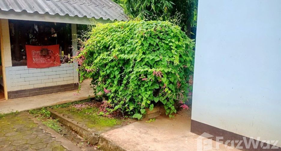 For sale land in Den Chai, Phrae