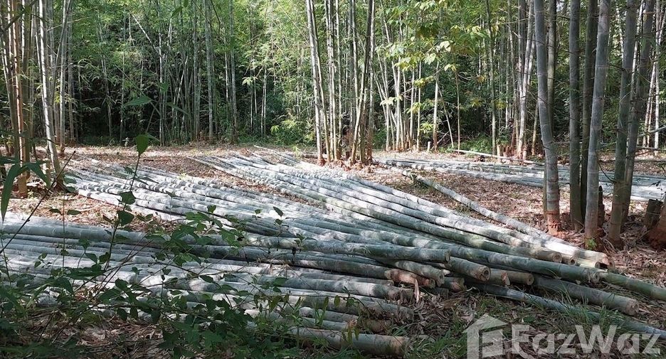 For sale land in Den Chai, Phrae