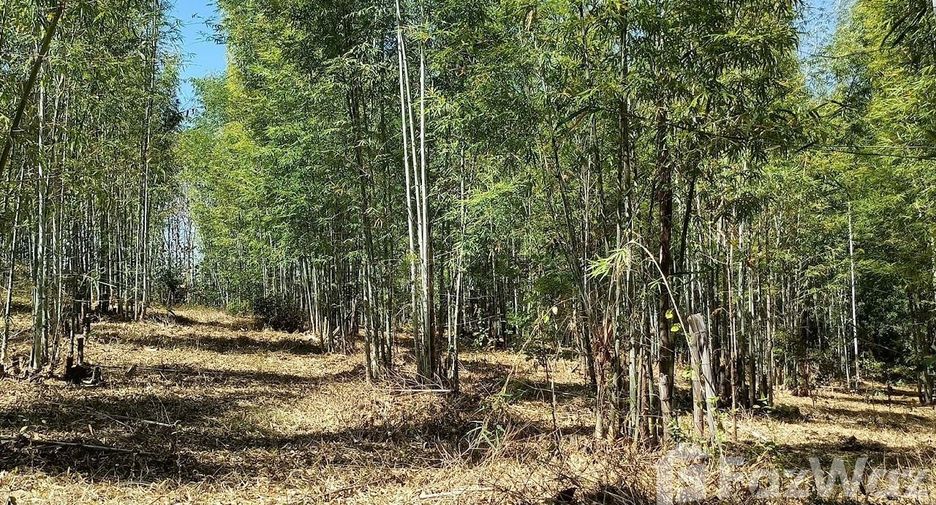 For sale land in Den Chai, Phrae