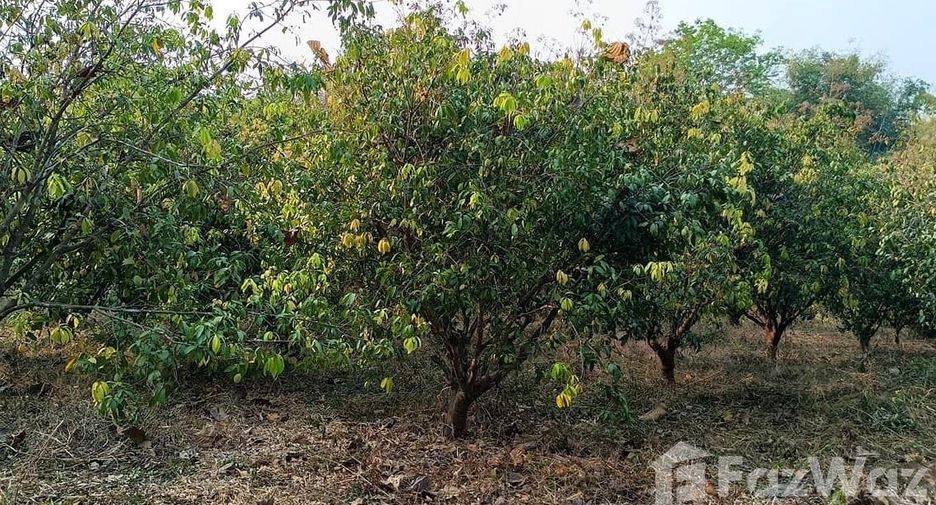 For sale land in Den Chai, Phrae